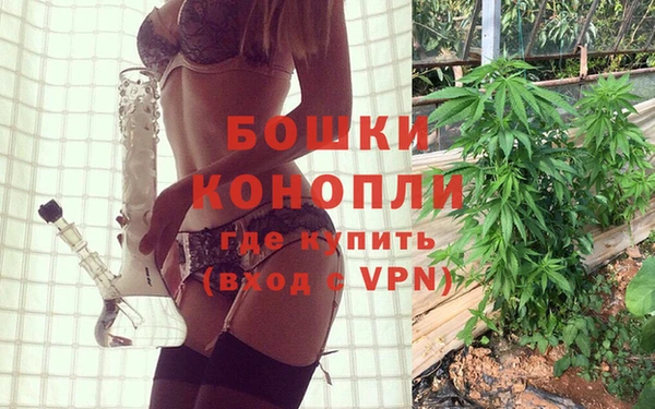 дживик Баксан